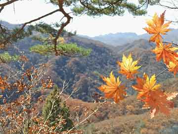 63岁徐锦江已向儿子交代后事，父爱如山，传承与托付